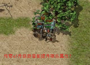 ����sf����ѫ����������Щ���ԣ�