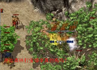 ԭʼɭ�ִ򱦱�����ĸ���