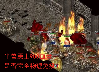 ������ʿ900Ѫ���Ƿ���ȫ�������ߣ�