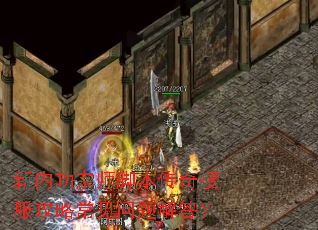 ���ڹ���ʦ�ű������ѷ����Գ���������