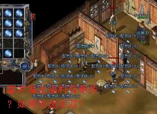 �׳�ħ����������Щ����ο��ٻ�ȡ��