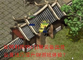 �������996����װ���������ü�������GM��Ϸ���飿