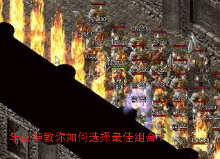 年夜神教你如何选择最佳组合? 年夜神教你如何选择最佳组合?