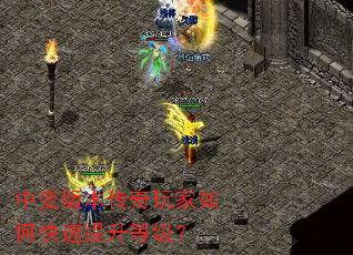 �б�汾���������ο��������ȼ���