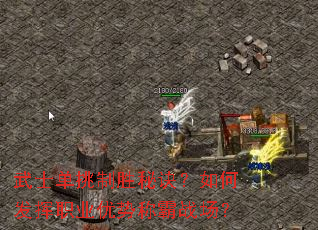 ��ʿ������ʤ�ؾ�����η���ְҵ���Ƴư�ս����