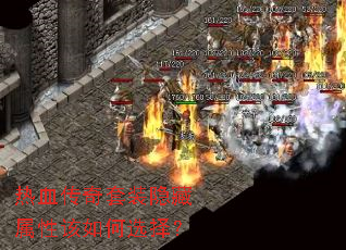 ��Ѫ������װ�������Ը����ѡ��