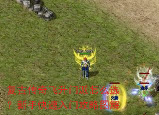 ���Ŵ������������ôѡ�����ֿ������Ź���ͼ��