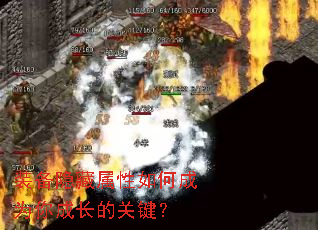 װ������������γ�Ϊ��ɳ��Ĺؼ���