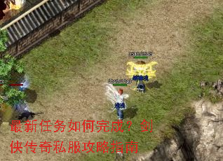 �������������ɣ���������˽������ָ��