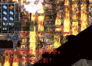 兽灵术技能书在传奇sf中哪里可以打到? 兽灵术技能书在传奇sf中哪里可以打到?