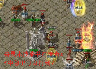 兽灵术技能书在传奇sf中哪里可以打到? 兽灵术技能书在传奇sf中哪里可以打到?