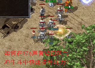 �����176��������������ţ���п�������ս����