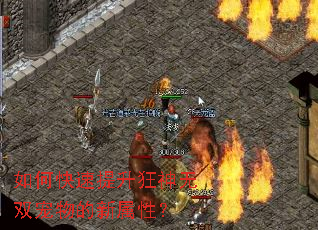 ��ο�������������˫����������ԣ�