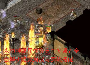 ������ѥ���Ծ����ж�ǿ��ȫ��������ؼӳ���ʵս����