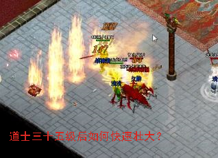 ��ʿ��ʮ�弶����ο���׳��