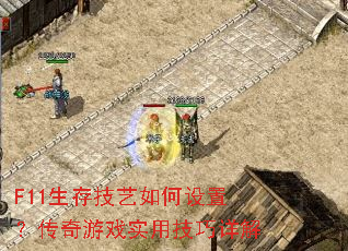 F11���漼��������ã�������Ϸʵ�ü������