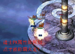 ��ʿPK������μӵ���ܳưԻ�����