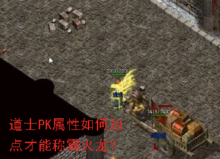 ��ʿPK������μӵ���ܳưԻ�����