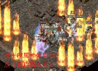 ��ʿPK������μӵ���ܳưԻ�����