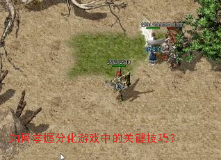 如何掌握分化游戏中的关键技巧? 如何掌握分化游戏中的关键技巧?