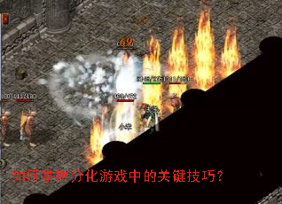 如何掌握分化游戏中的关键技巧? 如何掌握分化游戏中的关键技巧?