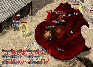 如何找到沃玛森林神秘洞穴的入口? 如何找到沃玛森林神秘洞穴的入口?