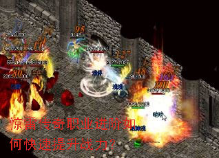 ���״���ְҵ������ο�������ս����