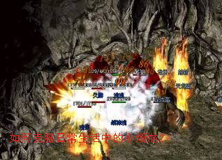 ��ο˷��ճ������е�С���գ�