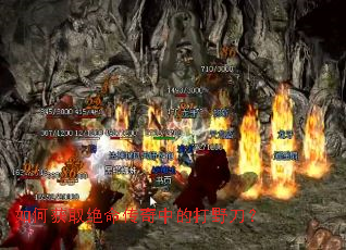 ��λ�ȡ���������еĴ�Ұ����