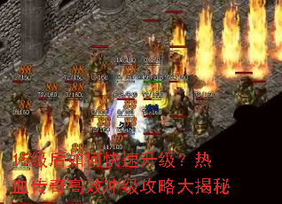 15������ο�����������Ѫ�����Ч�弶���Դ����