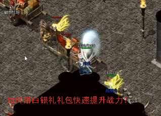 ����ð����������������ս����