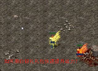 ����ð����������������ս����