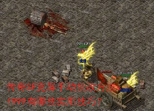 ����SF�����ֶ����ķ���sf999����Щʵ�ü��ɣ�