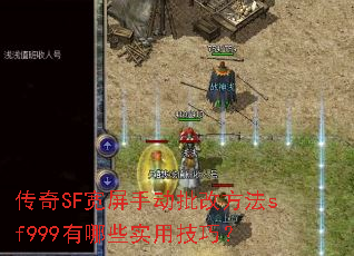 ����SF�����ֶ����ķ���sf999����Щʵ�ü��ɣ�