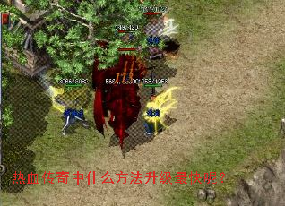 ��Ѫ������ʲô������������أ�