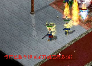 ����˽�����������������ж�ǿ��