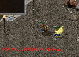 ������BOSS�������Щ����װ����