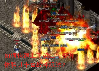 ��ο���������ɽ���沢������ḻս���淨��