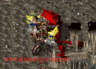 ����˽�����ö��ֿ�λ�����ģ�