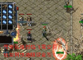 ����˽�������ѩ����ϵͳ��ο���׬ȡ��ң�