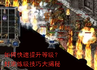 ��ο��������ȼ�������������ɴ����