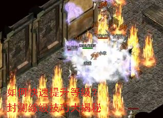 ��ο��������ȼ�������������ɴ����