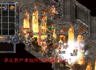 éɽ��ʬ����ο�������ս����