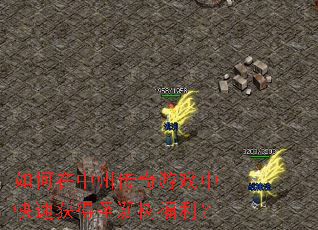 ��������ݴ�����Ϸ�п��ٻ��ʥ����������