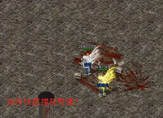 如何快速捕获野鹿? 如何快速捕获野鹿?