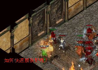 如何快速捕获野鹿? 如何快速捕获野鹿?