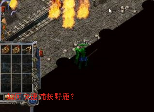 如何快速捕获野鹿? 如何快速捕获野鹿?