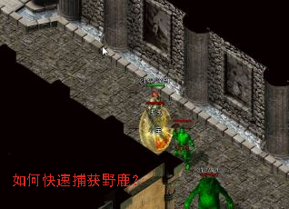 ��ο��ٲ���Ұ¹��