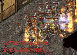 ��ο����ڵ�ְҵ����汾�������ȼ���