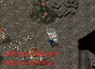 ��ο����ڵ�ְҵ����汾�������ȼ���